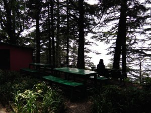 The tall coniferous trees surrounding the campus and the benches offering a view to this beautiful scenery