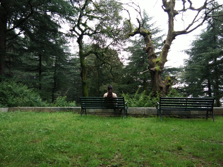 My favorite spot for ogling at the forest in silence.This picture was taken in September. Back in April, there was far less grass and far more sun.